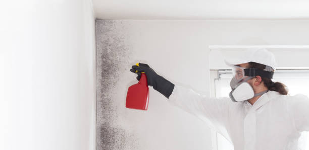 Best Professional Mold Removal  in Arden On The Severn, MD